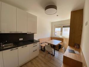 Apartments Freitag - H1