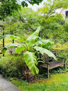 Le Voyage - Séjour atypique proche de Colmar