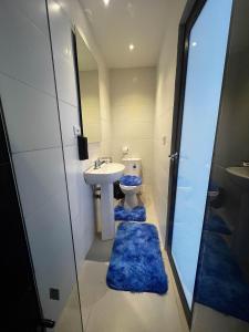 Loft Luminoso Chapinero