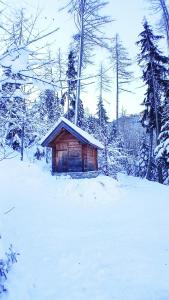 Ferienwohnung Bergblick