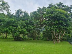 Apto 2 ambientes 1 quarto e a sala Cond Reserva do Sahy