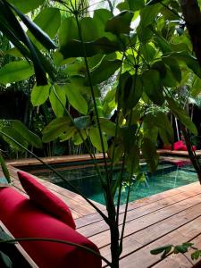 Casa Frutas y Verduras