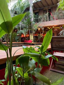 Casa Frutas y Verduras