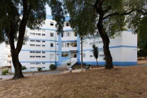 Olivais 2br Near Metroairport By Perfect Getaway