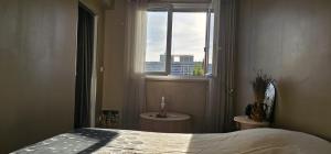 Le calme ensoleillé