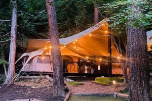 TOCORO. Mt.Fuji CAMP & GLAMPING - Vacation STAY 23398v