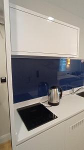 Beautiful apartment near the sea