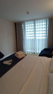 Beautiful apartment near the sea