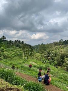 Ananda Bungalow Tetebatu