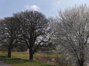 5 person holiday home in Holeby