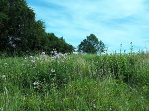 5 person holiday home in Holeby