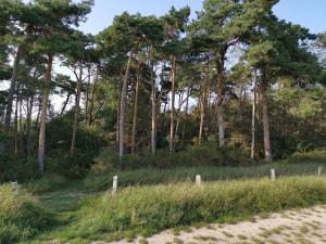 8 person holiday home in Idestrup