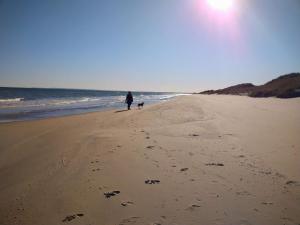 2 person holiday home in Skagen-By Traum