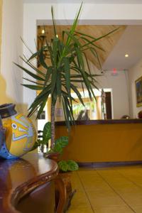 Villa Fontana Nesthost Stays