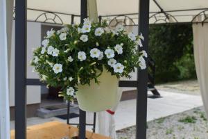 Apartments with parking space Tuheljske Toplice - Zagorje - 24875