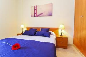 Roura 2 Planetcostadorada