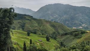 Higland Homestay Bac Ha
