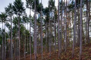 KURA Nagomi Hida Takayama