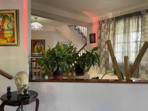 Massive Cherry Garden Home