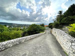 Mountain Spring Estate Overlooking the City