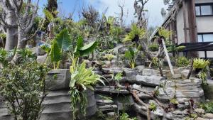 Jambuluwuk Bromo Poshtel