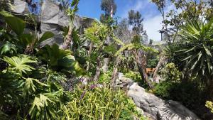 Jambuluwuk Bromo Poshtel