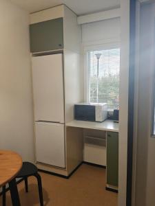 Kotoisa yksiö lähellä palveluita