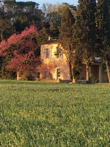 Maisons de vacances Chateau Pech-Celeyran : photos des chambres