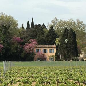 Maisons de vacances Chateau Pech-Celeyran : photos des chambres