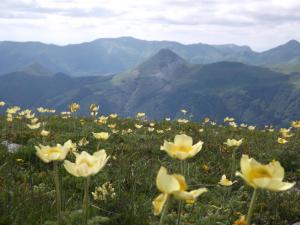 obrázek - VVF Le Lioran Les Monts du Cantal