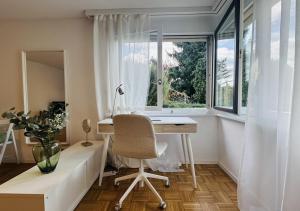 Bright furnished Studio with workspace and garden area near Zurich