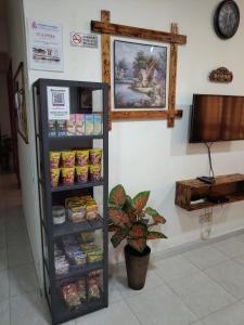 Homestay Budget Kuala Terengganu Tulipsia House