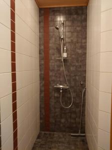 Holidayhome Tahkon Koivulan Kivi