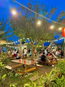 Cafe cắm trại Đồng Gió Phước Hải