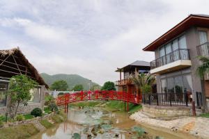 Cafe cắm trại Đồng Gió Phước Hải