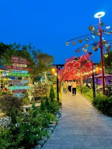 Cafe cắm trại Đồng Gió Phước Hải