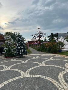 Cafe cắm trại Đồng Gió Phước Hải