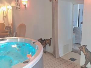 Le gîte de Sainte Valière PISCINE,SPA et CLIMATISATION