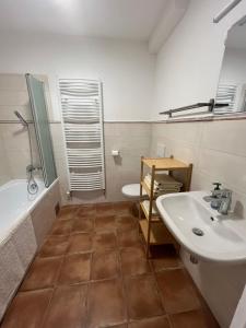 Litovelské apartmány