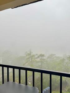 2-Bedroom Ladera Suites