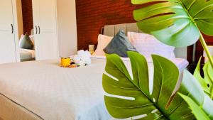 Cozy Modern Retreat - 2 Bedroom Apartment Steps from Piata Victoriei