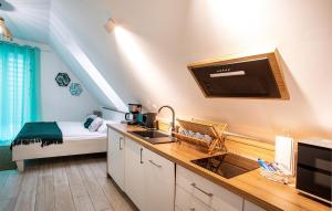Amazing Apartment In Nowecin With Wifi