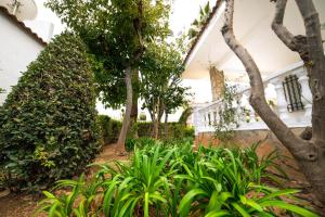 Villa Beatriz