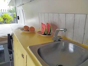 Slow-Life Campervan, Küche, Dusche, Queen-Size Bett, Solar
