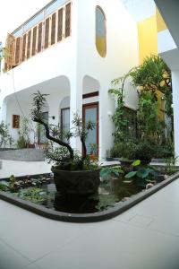 Memoir Homestay Tuy Hòa