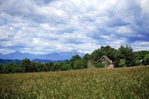 Holiday Home Ernest Železni with hot tub
