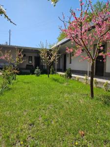 HOTELS EREVAN airport