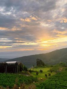 Phupetra ภูเปตรา