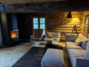 Arctic Private Island -inclusive HB and activities