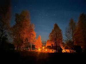 Arctic Private Island -inclusive HB and activities